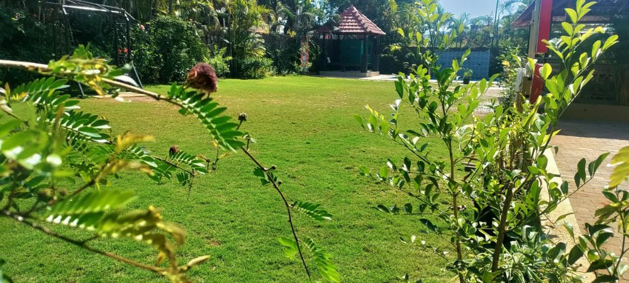 Mountview Resort 罗纳瓦拉 外观 照片